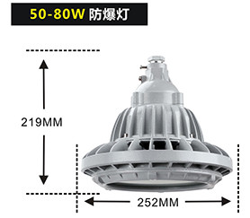 山东加油站案例