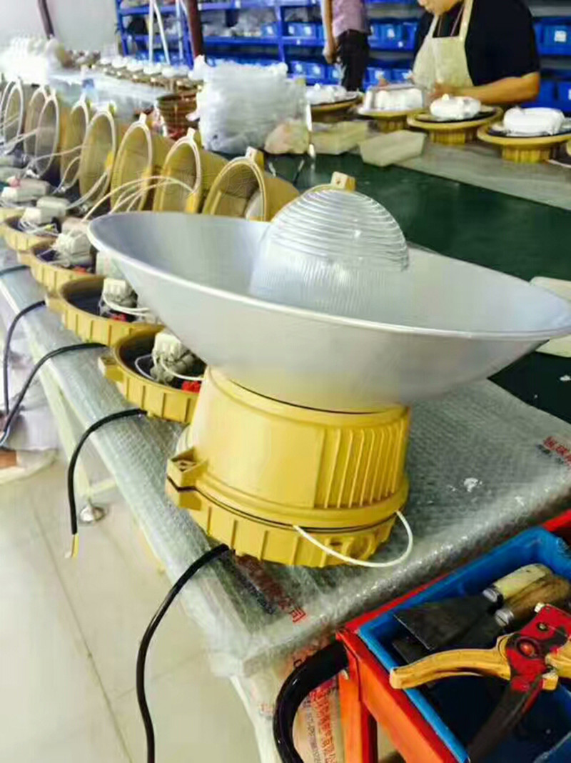 XQF6204防爆无极灯展示图