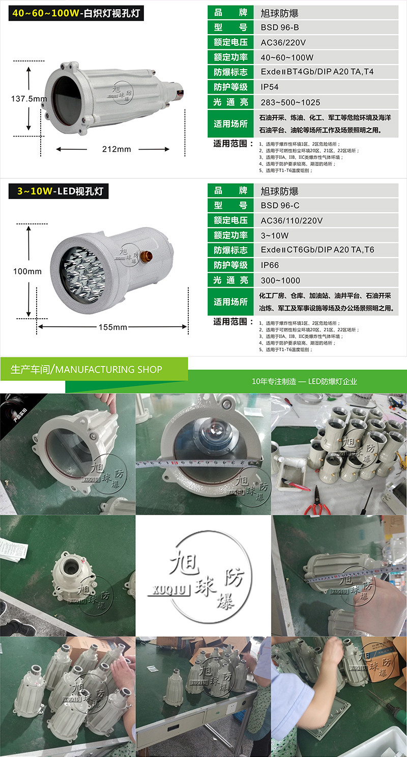 BSD96防爆视孔灯展示图