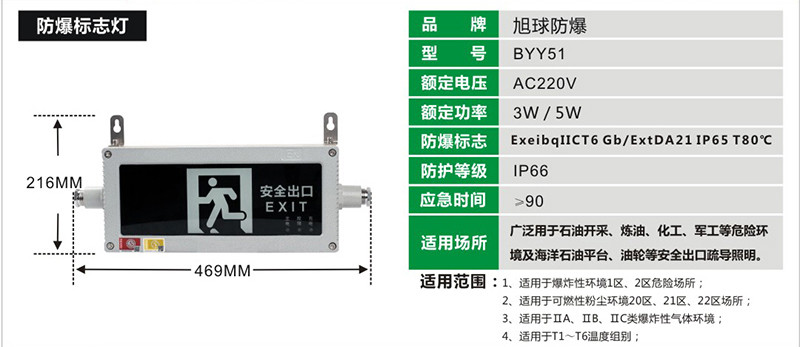 BYY511防爆消防应急灯展示图
