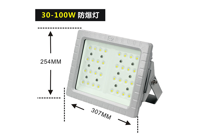 XQD8100新款70灯珠LED防爆灯I型