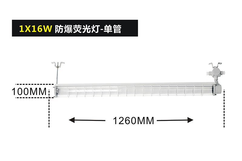 BPY51系列单管防爆荧光灯（IIB、DIP）I型