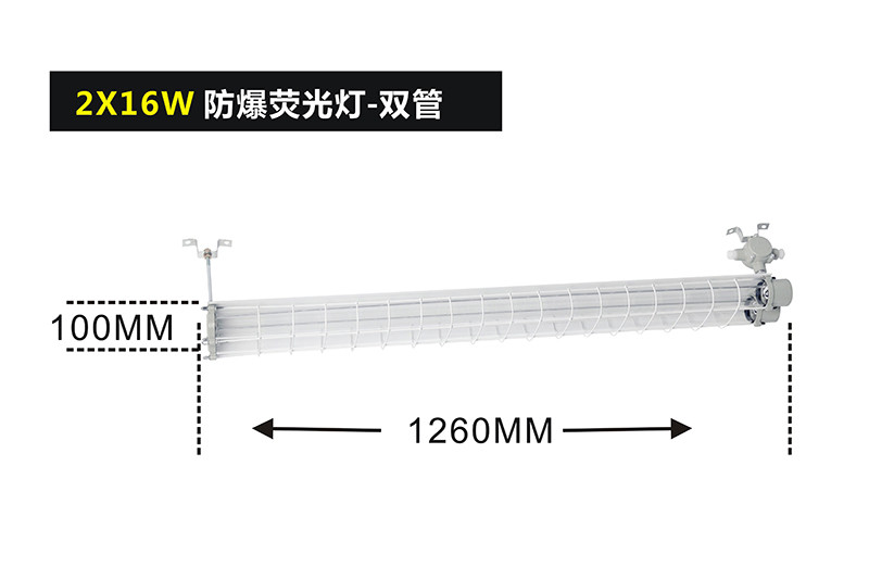BPY51系列双管防爆荧光灯（IIB、DIP）II型