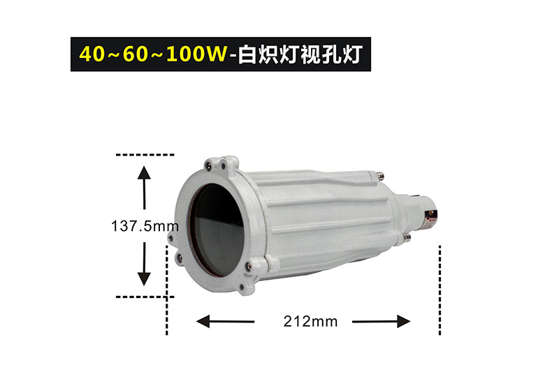 BSD96防爆视孔灯