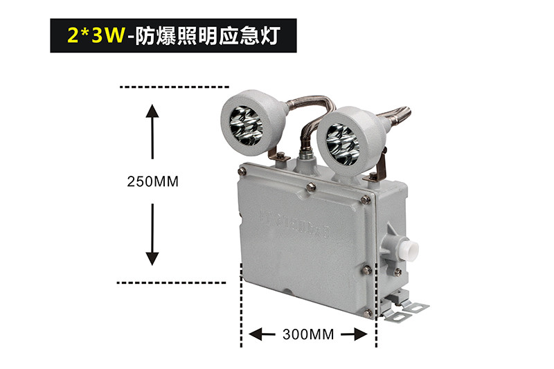 XQL1001防爆双头应急灯