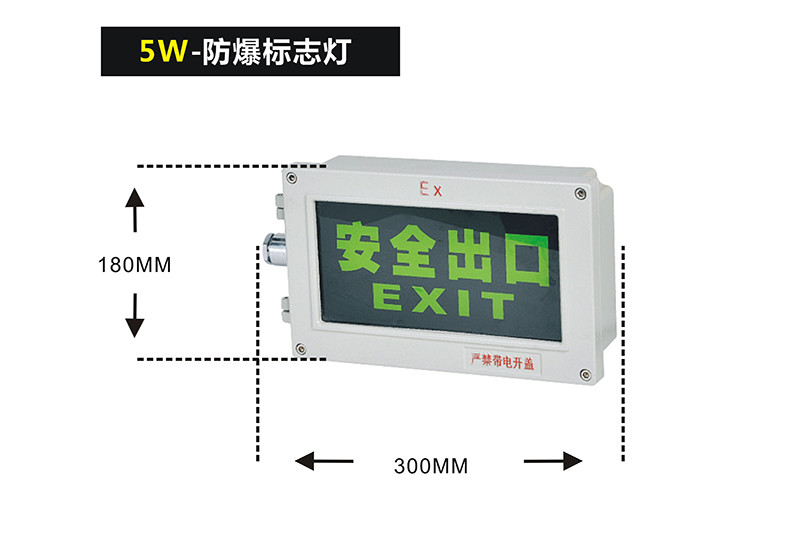 XQL1002防爆应急灯II型